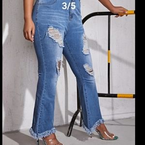 HALF PRICE TODAY ONLY